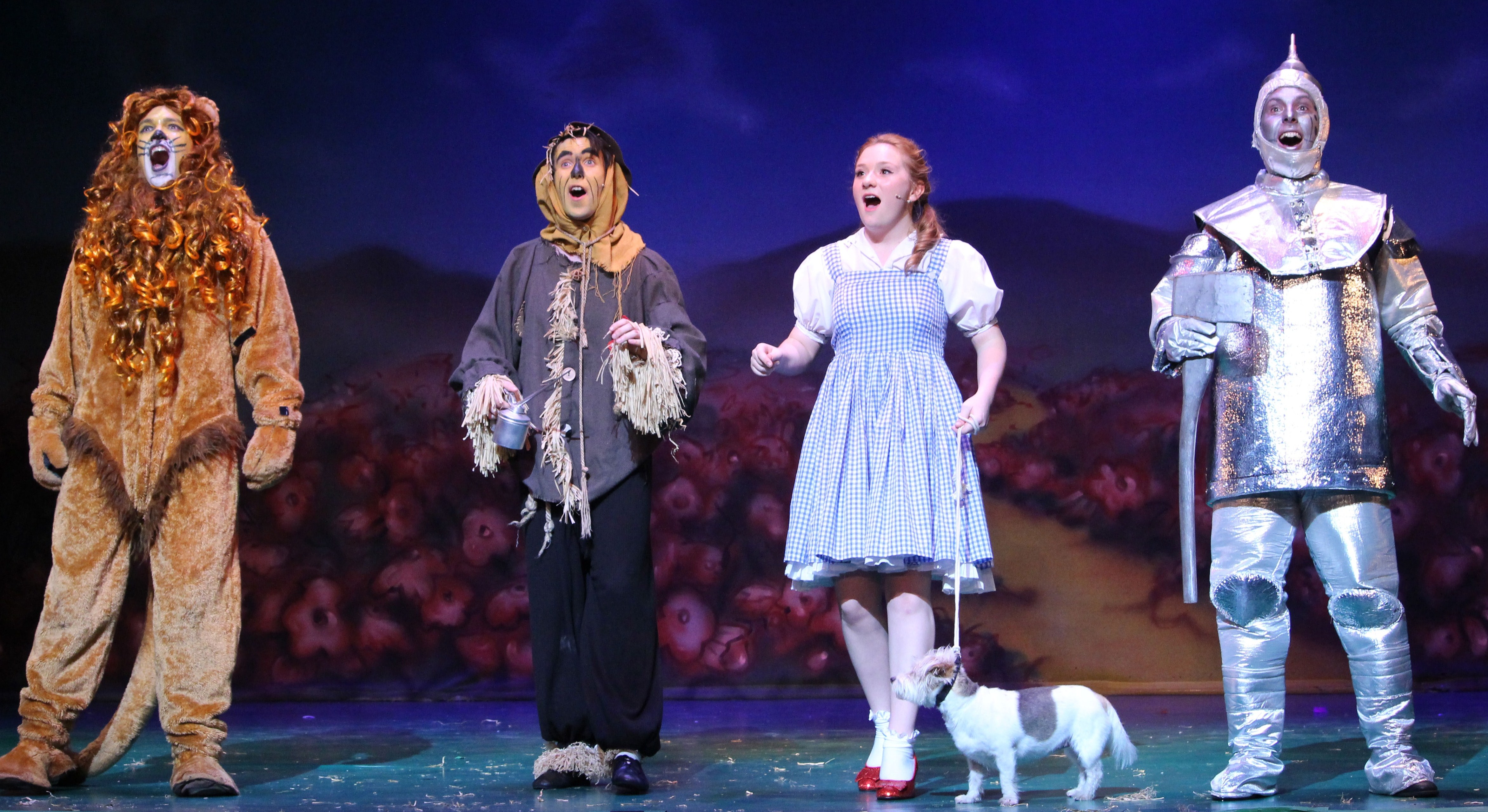 Wizard of Oz at The New Theatre Cardiff Times